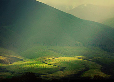 激活中心快速的doss网站攻击